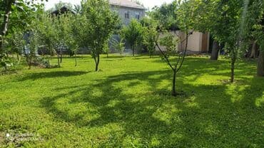 обрезка живой изгороди: Услуги Садовника! Стрижка газона со своей — 5