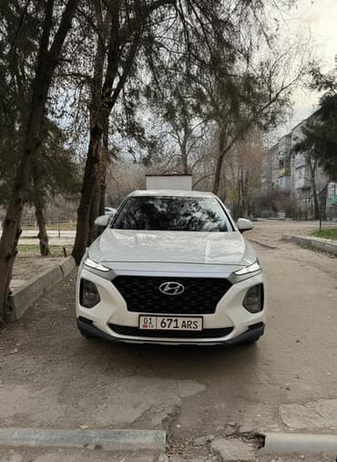 Hyundai Santa Fe: 2019 г., 2 л, Автомат, Дизель, Кроссовер