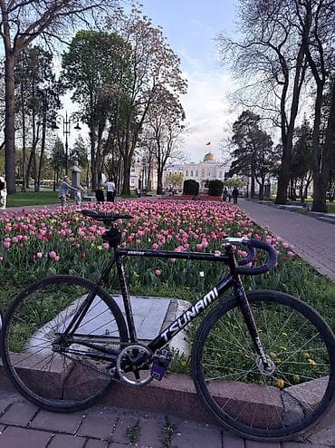 novatec: Шоссейный велосипед, Tsunami, Рама XL (180 - 195 см), Б/у — 5