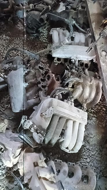 2 4 д: Коллектор Audi Оригинал — 1