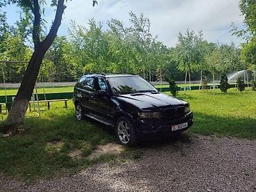 BMW: BMW X5: 2003 г., 3 л, Автомат, Дизель, Кроссовер — 7