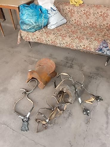 Комплект конской упряжи и седельной оснастки.

Всё за 16000 сом — 2