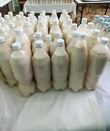 Продукты питания: Кымыз, саамал, В розницу, Бесплатная доставка — 2