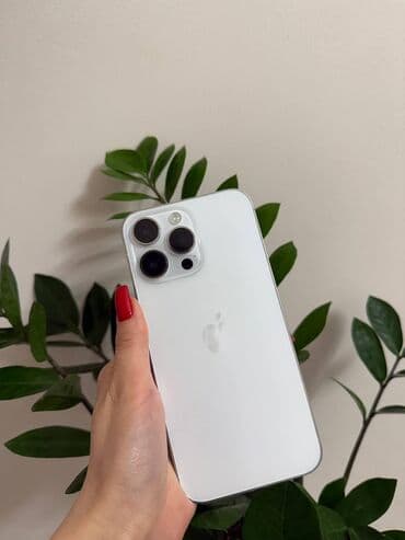 военный телефон: IPhone 14 Pro Max, Б/у, 256 ГБ, Серебристый, Защитное стекло, Чехол, Кабель, 86 % — 1