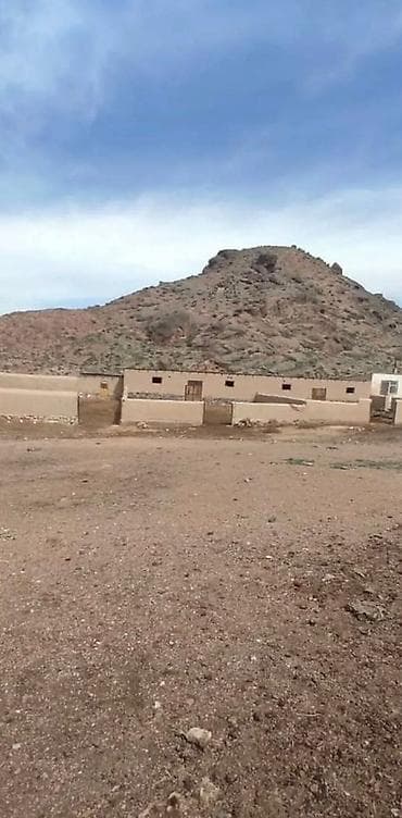 птицефабрика токмак: ️продается сарай️ кочкорский район село Семиз бель на берегу — 3