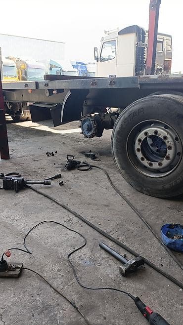 даф 95 2005: Тягач, DAF, 2006 г. — 5