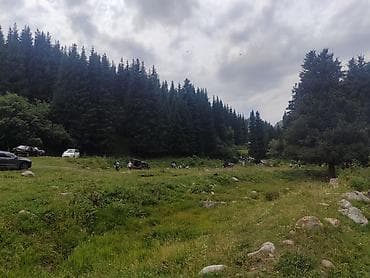 спринтер двухсскатник: Пункт назначения: Все направления, Количество мест: 18 — 9