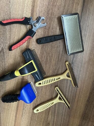 наполнитель для кошек цена бишкек: Отдам за все 1200 уход за своими питомцами — 2