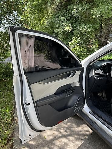 sonata 2018: Weltmeister EX5, 2021 г., 117000 км, Передний, В наличии — 8