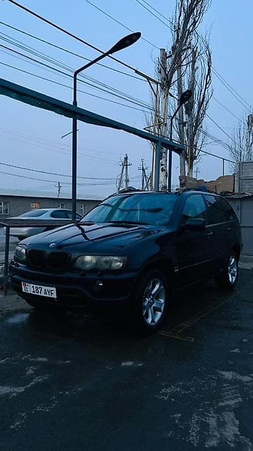 bmw x5 е53: BMW X5: 2003 г., 0.3 л, Автомат, Внедорожник — 4