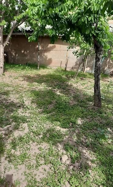 Кыймылсыз мүлк: Үй, 76 м², 4 бөлмө, Кыймылсыз мүлк агенттиги, Косметикалык оңдоо — 7