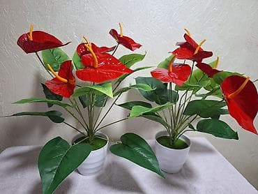 гулдор роза: Искусственные орхидеи в горшке - Эффектные композиции с фаленопсисом — 6