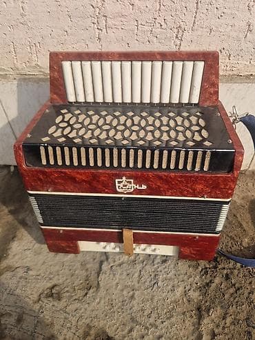 аккордеон малыш: Баян «Сатыл» (логотип на корпусе), компактный двухрядный — 2