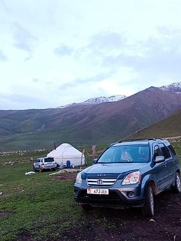 стоп субару: Honda CR-V: 2004 г., 2.4 л, Автомат, Газ, Кроссовер — 6