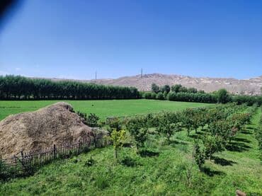 аренда дом кудайберген: 275000 соток, Бизнес үчүн — 7