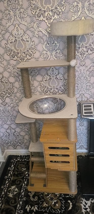 Игровой комплекс для кошек многоуровневый - Несколько ярусов для