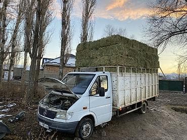 кресло спринтер: Жүк ташуучу унаа, Mercedes-Benz, Стандарт, 3 т, Колдонулган — 7