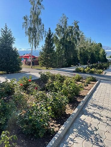 Недвижимость: Коттедж, Чон-Сары-Ой — 9
