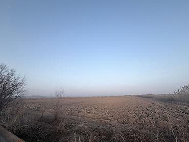 участок гес 5: 600 соток, Для сельского хозяйства — 4