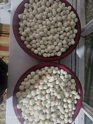 складная табуретка: Накта курут сатылат — 10