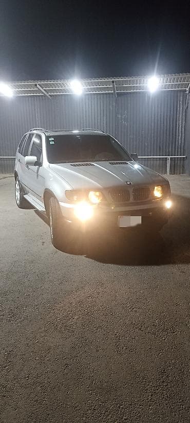 BMW X5: 2003 г., 3 л, Автомат, Дизель, Кроссовер