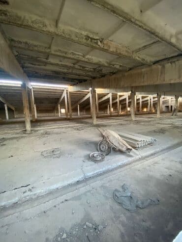 продаю дом село орок: 100 соток, Красная книга — 9