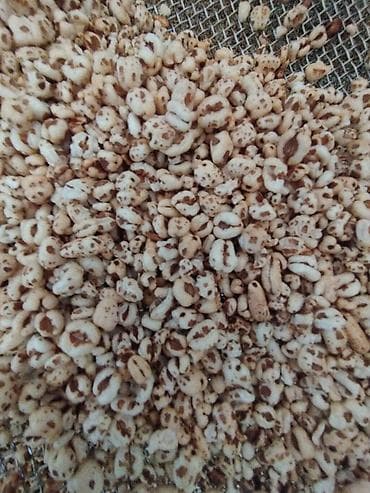 кастрюля кыргызча: Жакшылап окунуз жон гана рецепт сатылат,озунуз аппараттарды аласыз биз — 3