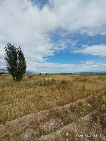 аренда дома на иссык куле: 66 соток, Для сельского хозяйства, Тех паспорт, Договор купли-продажи, Генеральная доверенность — 3