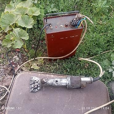 Электрическая машинка для стрижки овец с выносным блоком питания