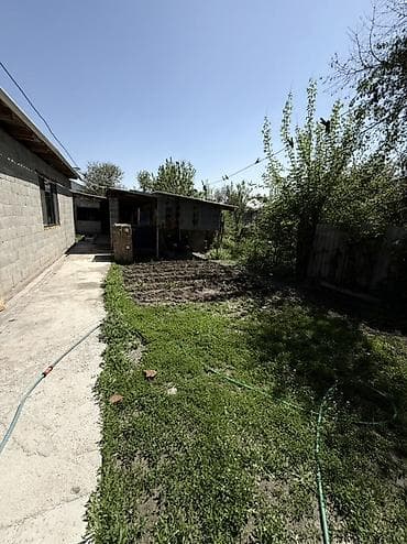 комната сатылат: 🏡 Дом + готовый бизнес | с. Восток | 5.6 соток Продается уютный дом — 9