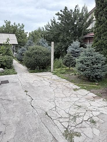 5 соток
