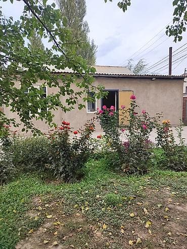 Куплю дом: Продаётся земельный участок с домом и садом — 2