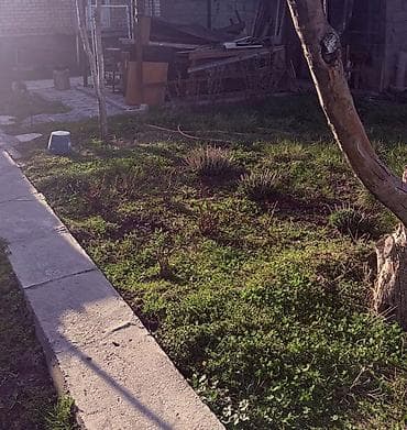 обмен на земельный участок: 4 соток, Красная книга — 1