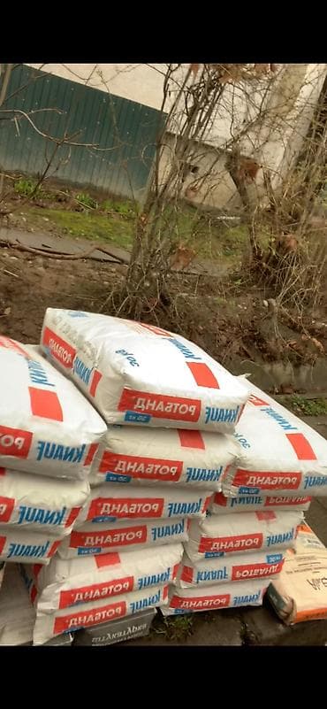 Сулуулук салондору: Жүк ташуучу. 6 жылдан ашык тажрыйба — 3