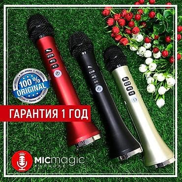 Micmagic L600 самый лучший караоке микрофон