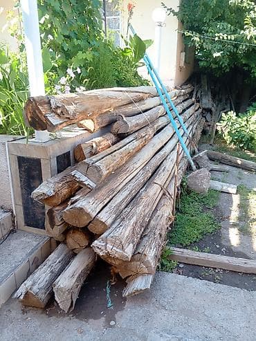 Оңдоп-түзөө жана курулуш: Бревна/колоды для стройки и хозяйственных нужд - Порода: хвойные — 3