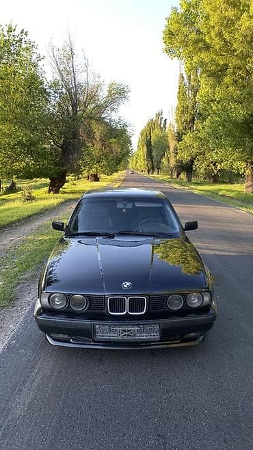 BMW 5 series: 1993 г., 4.4 л, Механика, Бензин, Седан