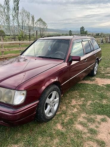 Mercedes-Benz 220: 2026 г., 2.9 л, Механика, Дизель, Универсал