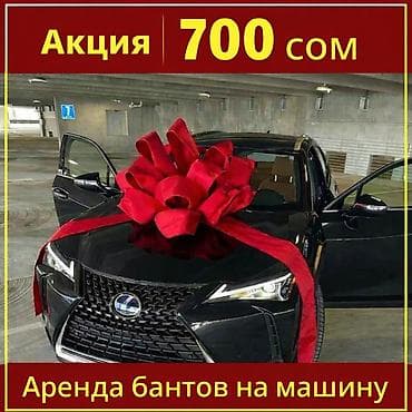 🚗 АКЦИЯ — всего 700 сом/сутки! Предлагаем аренду стильных бантов на