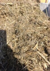 Рыбы: Продаётся сенаж отличного качество, сухой, мелко измельчённый. Цена 8 — 1