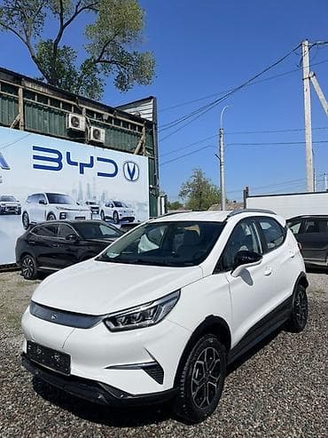 x nv: BYD Yuan Pro: 2022 г., Электромобиль, Кроссовер — 2