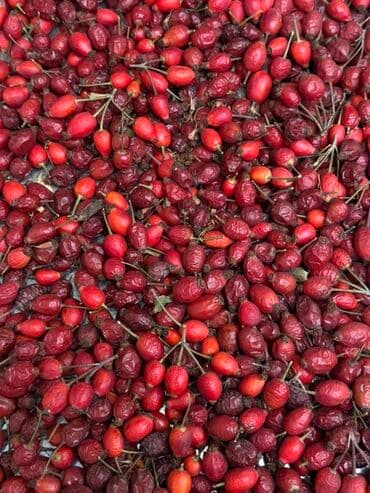 золотая жизнь гранатовый сок цена бишкек: Сухой шиповник — природный источник витаминов 🌿 Собран вручную в — 1