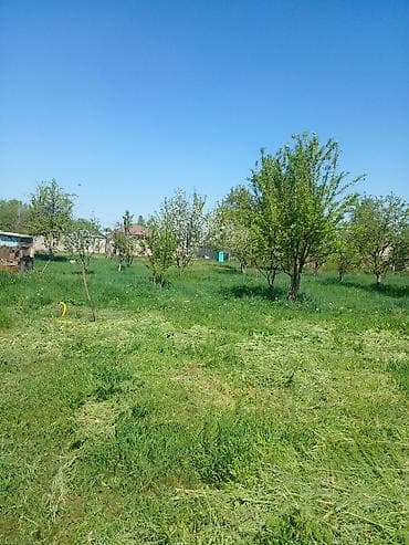 дом и сад: Дом с большим приусадебным участком. - Жилой одноэтажный дом с крытой — 2