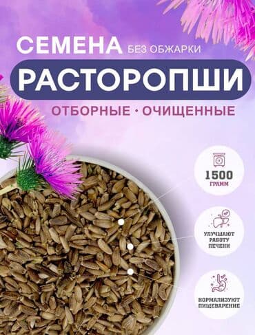 семена расторопши: Расторопша пятнистая или silybum marianum - колючее растение с — 2