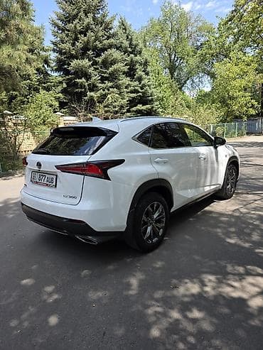 will cypha: Lexus NX: 2020 г., 2 л, Автомат, Бензин, Кроссовер — 4