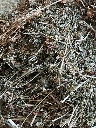 Беде сатылат
Клевер продается 3 кос