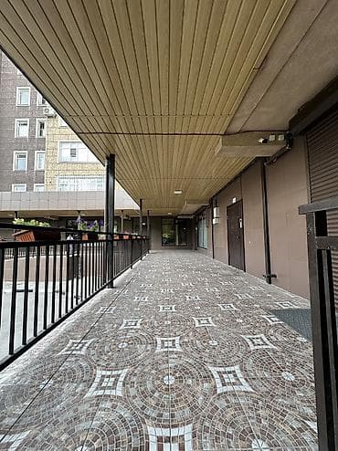 сдаю квартиру 5 микр: 1 комната, 60 м², Элитка, 9 этаж, Косметический ремонт — 3