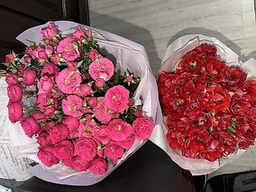 цветок женское счастье цена: Отдам оба за 3к Отправил бывший. Кустовые Тюльпаны Свежие Только — 3