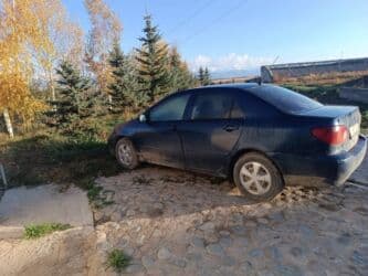 продажа авто в бишкеке и по всему кыргызстану: Toyota Corolla: 2002 г., 1.8 л, Автомат, Бензин, Седан — 9