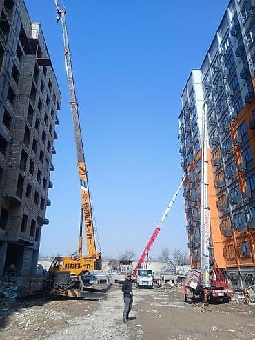 ростовые цветы: Стрела 45 м, 300 т — 1